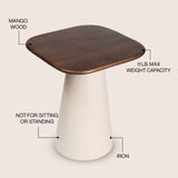 Solmist 18" Modern Rustic Square Wood/Metal Accent Table
