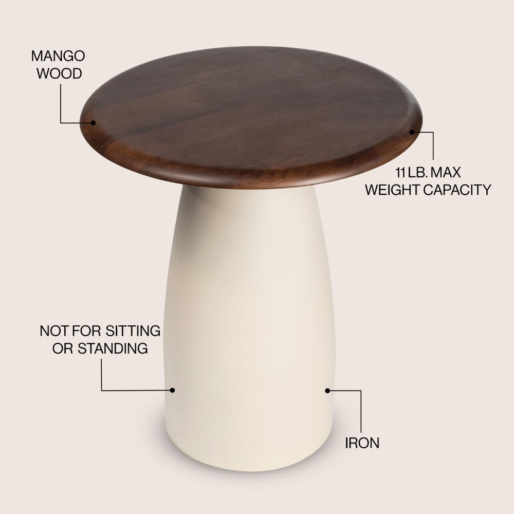 Arvin 18" Modern Rustic Round Wood/Metal Accent Table