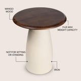 Arvin 18" Modern Rustic Round Wood/Metal Accent Table