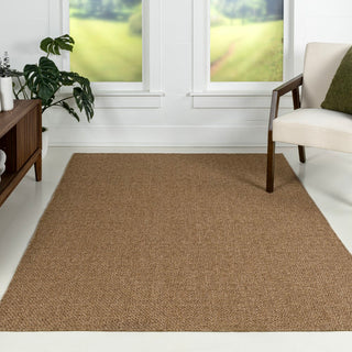 Birch Easy Jute Rustic Solid Color Area Rug