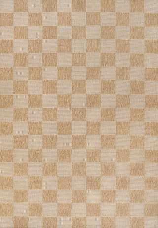 Fluvia Easy Jute Geometric Boho Checker Weave Area Rug