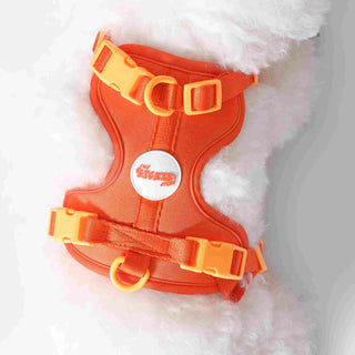 Arlo Adjustable No Pull Pet Harness