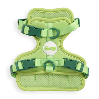 Arlo Adjustable No Pull Pet Harness Light Green Extra Small