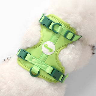 Arlo Adjustable No Pull Pet Harness
