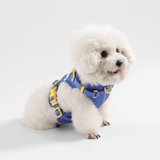 Arlo Adjustable No Pull Pet Harness