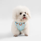 Arlo Adjustable No Pull Pet Harness