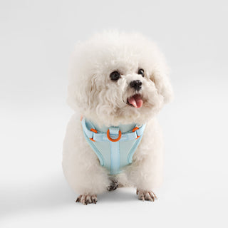 Arlo Adjustable No Pull Pet Harness