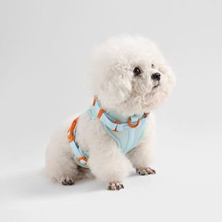 Arlo Adjustable No Pull Pet Harness
