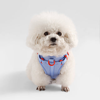 Arlo Adjustable No Pull Pet Harness