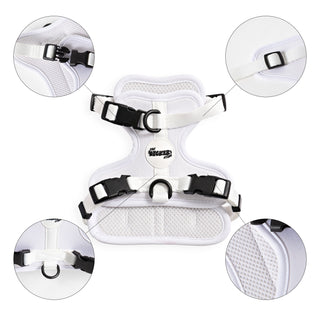 Arlo Adjustable No Pull Pet Harness