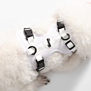 Arlo Adjustable No Pull Pet Harness