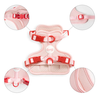 Arlo Adjustable No Pull Pet Harness