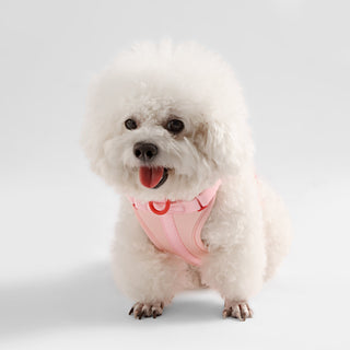 Arlo Adjustable No Pull Pet Harness