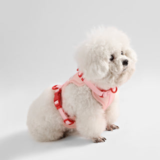 Arlo Adjustable No Pull Pet Harness
