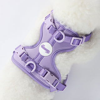 Arlo Adjustable No Pull Pet Harness