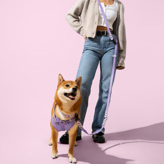 Arlo Adjustable No Pull Pet Harness