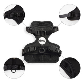 Arlo Adjustable No Pull Pet Harness