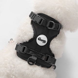 Arlo Adjustable No Pull Pet Harness