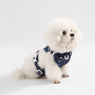 Arlo Adjustable No Pull Pet Harness