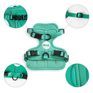 Arlo Adjustable No Pull Pet Harness