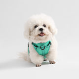 Arlo Adjustable No Pull Pet Harness