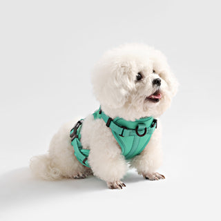 Arlo Adjustable No Pull Pet Harness
