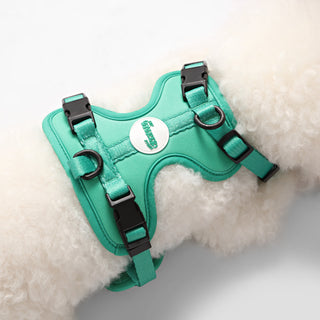 Arlo Adjustable No Pull Pet Harness