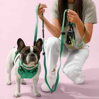 Arlo Adjustable No Pull Pet Harness