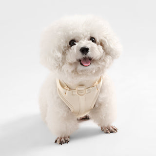 Arlo Adjustable No Pull Pet Harness