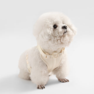 Arlo Adjustable No Pull Pet Harness