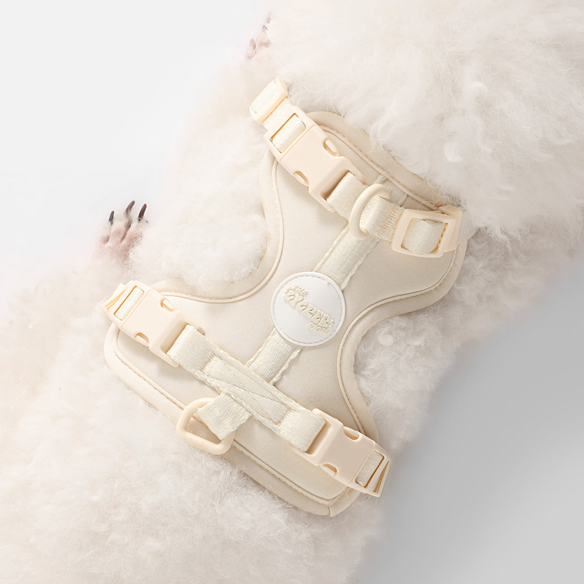Arlo Adjustable No Pull Pet Harness