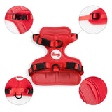 Khushal Adjustable Soft Padded No Pull Pet Harness with 3 Buckles and 3 Leash Clips