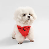 Khushal Adjustable Soft Padded No Pull Pet Harness with 3 Buckles and 3 Leash Clips