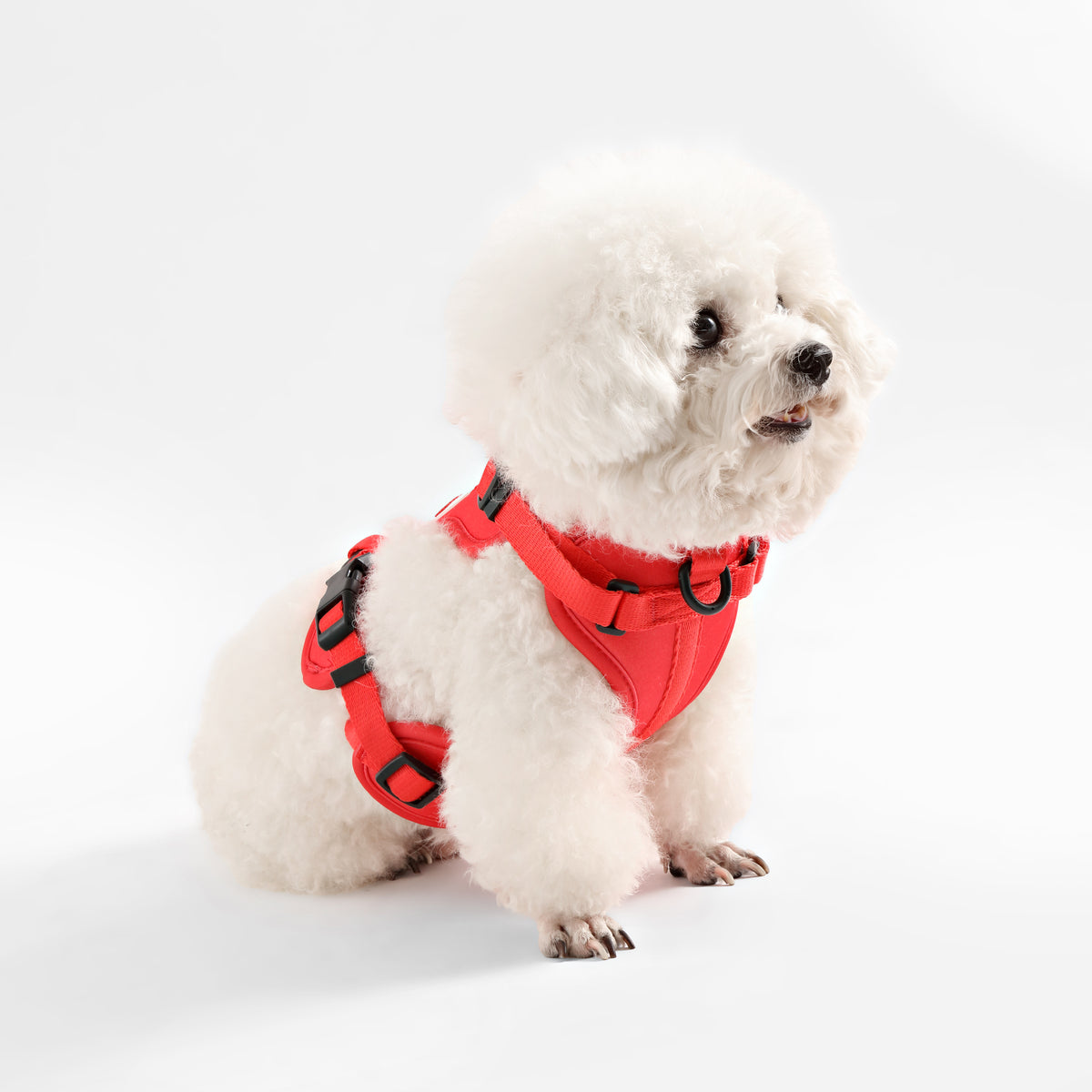 Khushal Adjustable Soft Padded No Pull Pet Harness with 3 Buckles and 3 Leash Clips