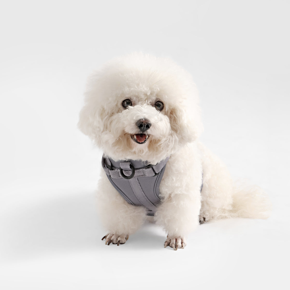 Khushal Adjustable Soft Padded No Pull Pet Harness with 3 Buckles and 3 Leash Clips
