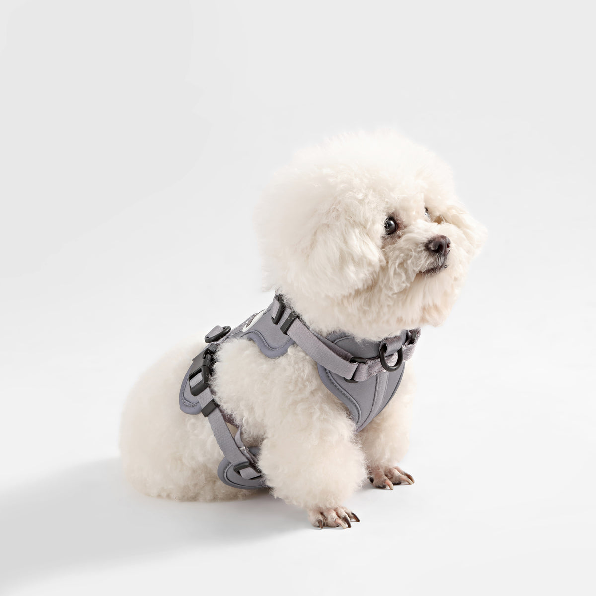 Khushal Adjustable Soft Padded No Pull Pet Harness with 3 Buckles and 3 Leash Clips