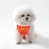 Khushal Adjustable Soft Padded No Pull Pet Harness with 3 Buckles and 3 Leash Clips