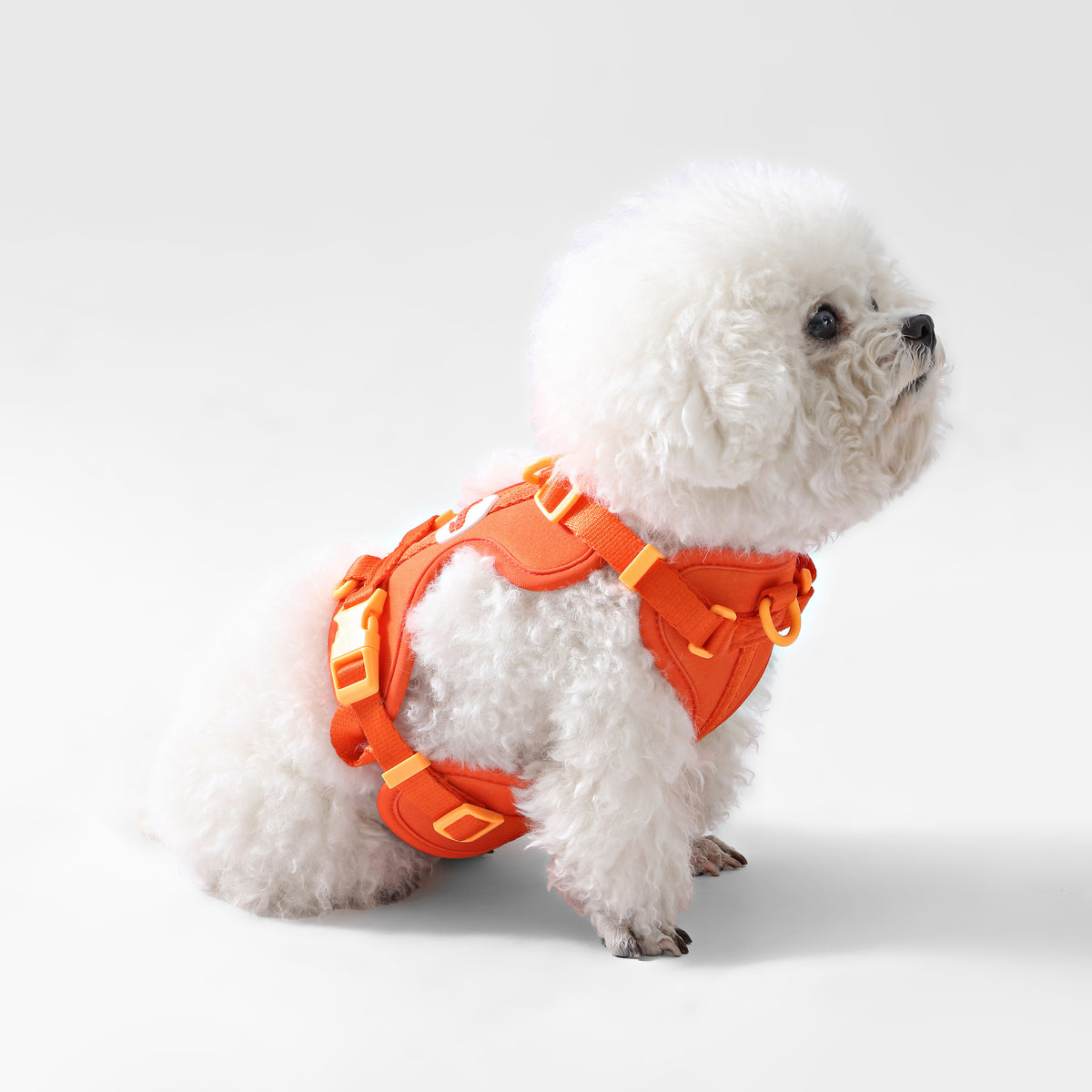 Khushal Adjustable Soft Padded No Pull Pet Harness with 3 Buckles and 3 Leash Clips