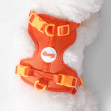 Khushal Adjustable Soft Padded No Pull Pet Harness with 3 Buckles and 3 Leash Clips