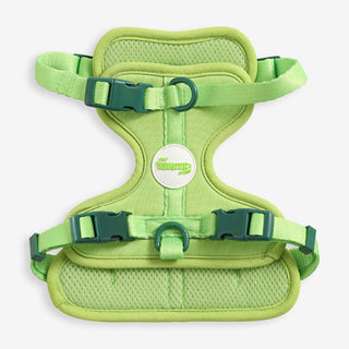 Arlo Adjustable No Pull Pet Harness Light Green Small