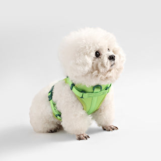 Arlo Adjustable No Pull Pet Harness
