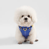 Arlo Adjustable No Pull Pet Harness