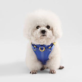 Arlo Adjustable No Pull Pet Harness