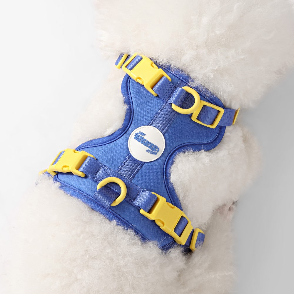 Arlo Adjustable No Pull Pet Harness