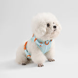 Arlo Adjustable No Pull Pet Harness