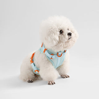 Arlo Adjustable No Pull Pet Harness