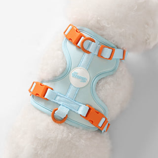 Arlo Adjustable No Pull Pet Harness