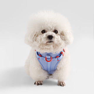 Arlo Adjustable No Pull Pet Harness