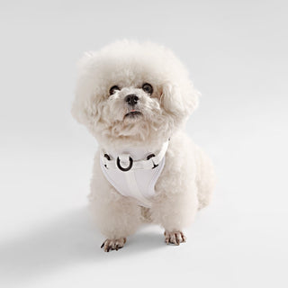 Arlo Adjustable No Pull Pet Harness