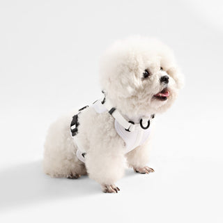 Arlo Adjustable No Pull Pet Harness